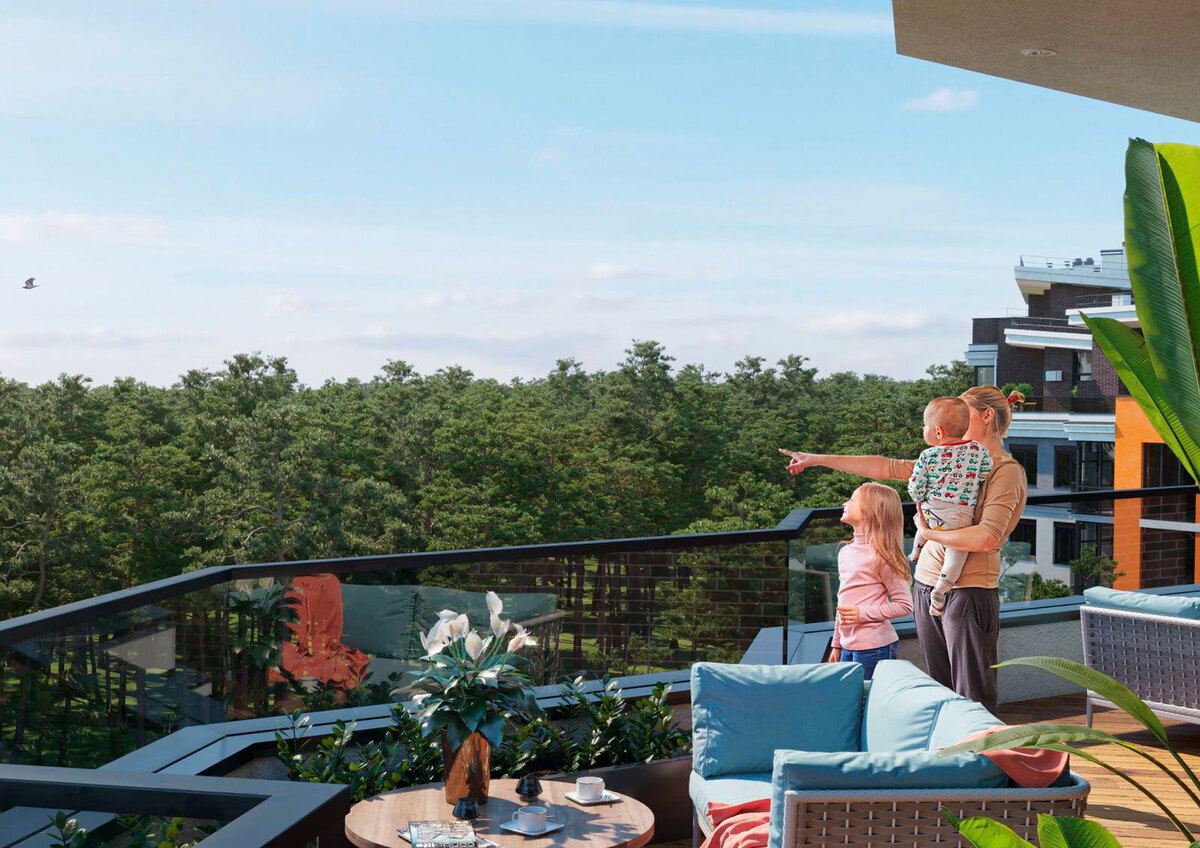 �� �������� ����