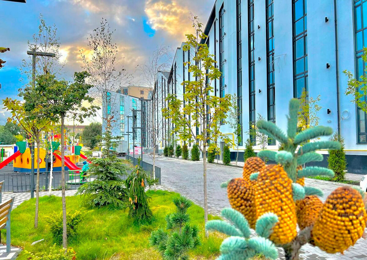 Aura Center ����