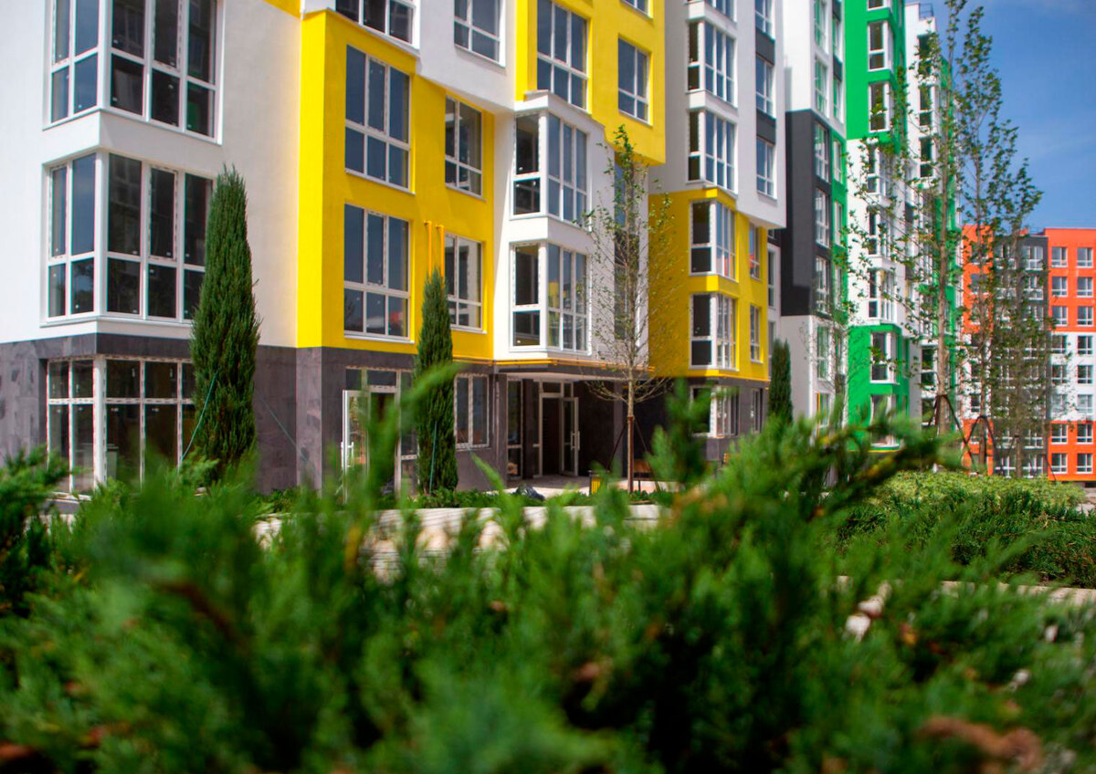 �������-3 ����