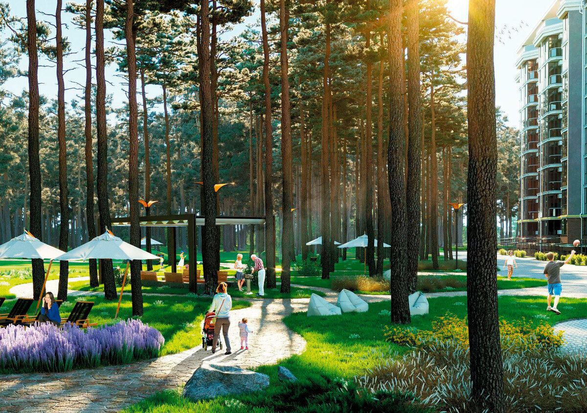 �� �������� ����