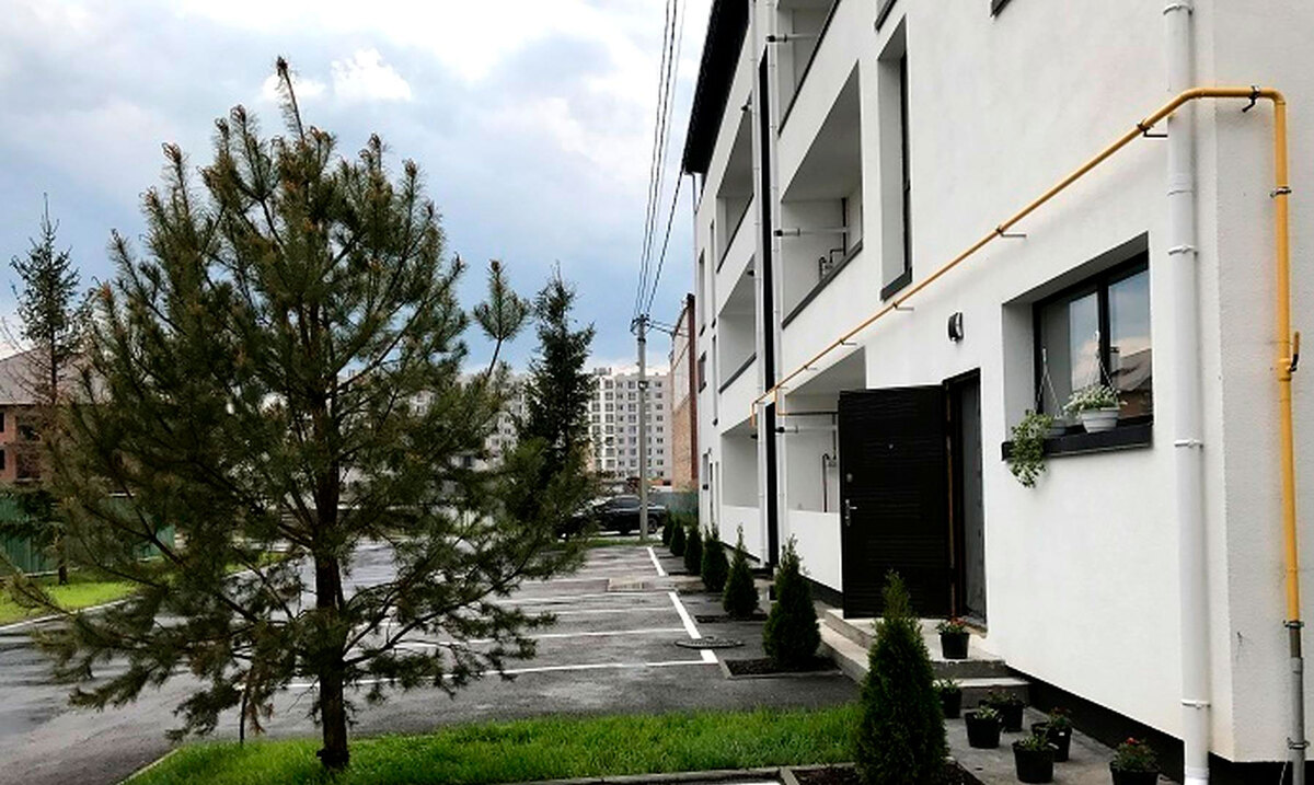 ���� ����� ����