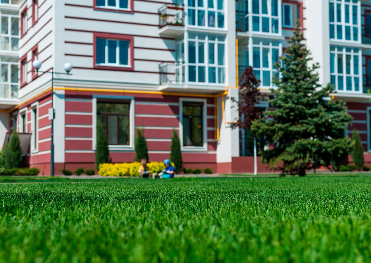 ����������� ����