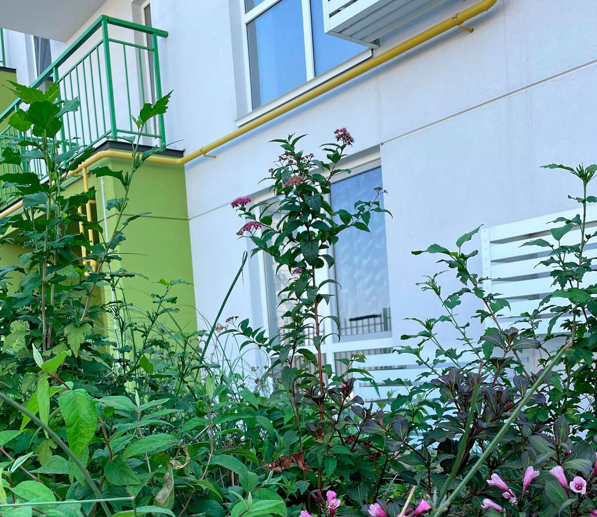 Art Misto ����