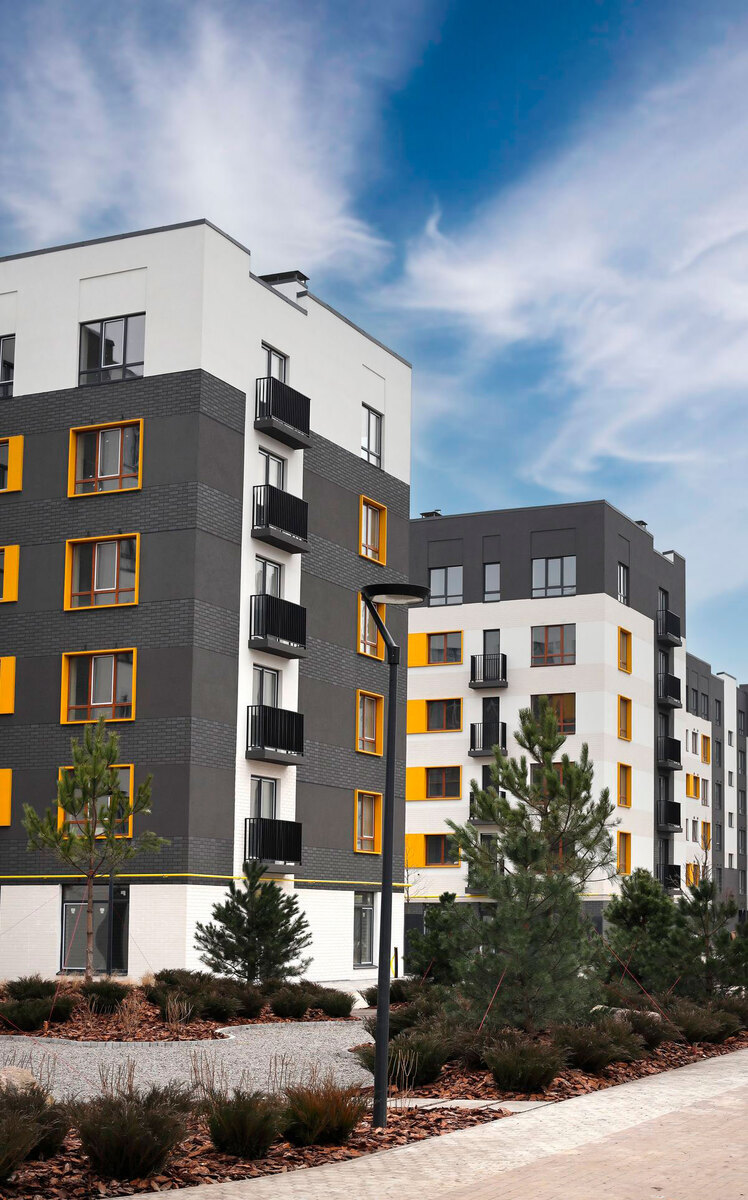 �������� ����