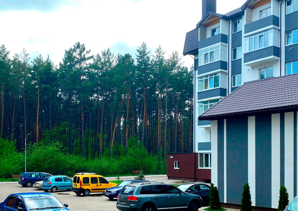 ���� ����