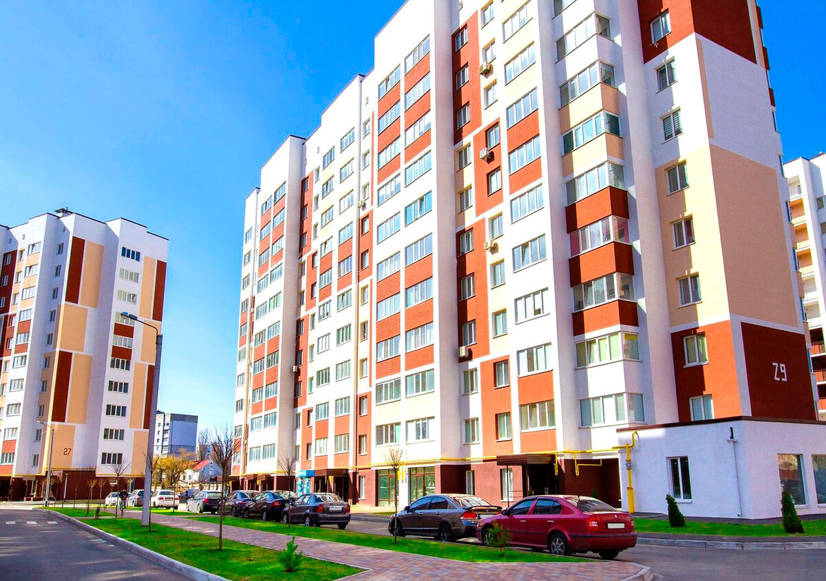 ���� ������ ����