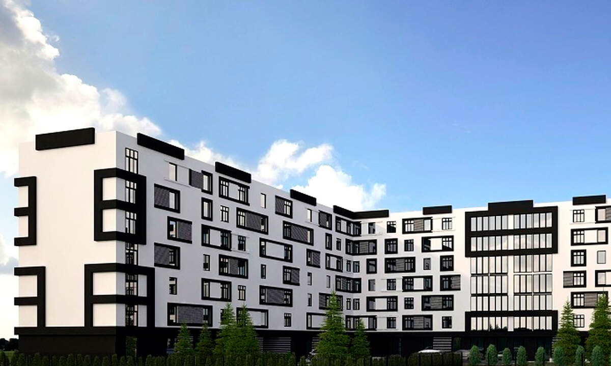 ���� ����� ����