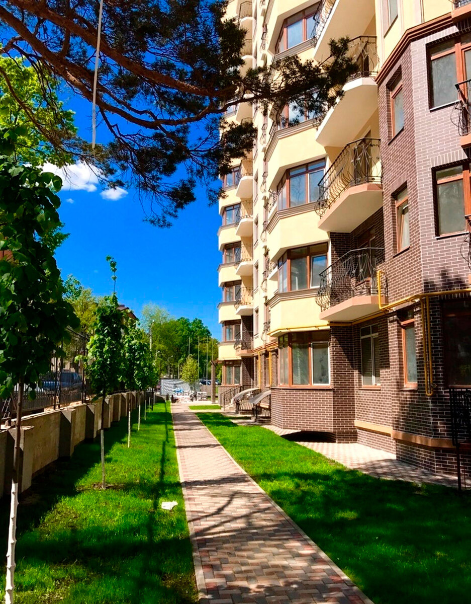 Rich Town ����