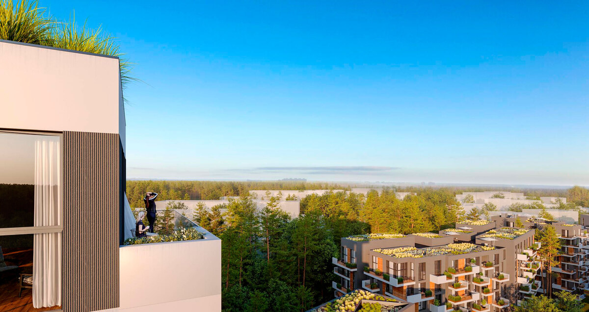 Gravity Park ����