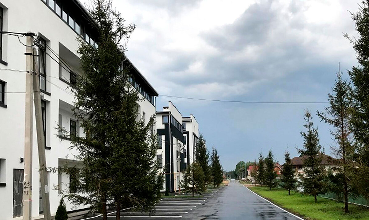 ���� ����� ����