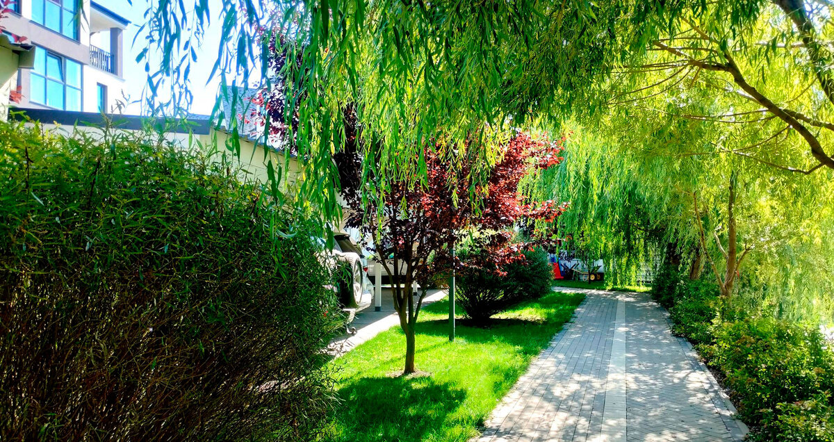 Desna Park Residence ����