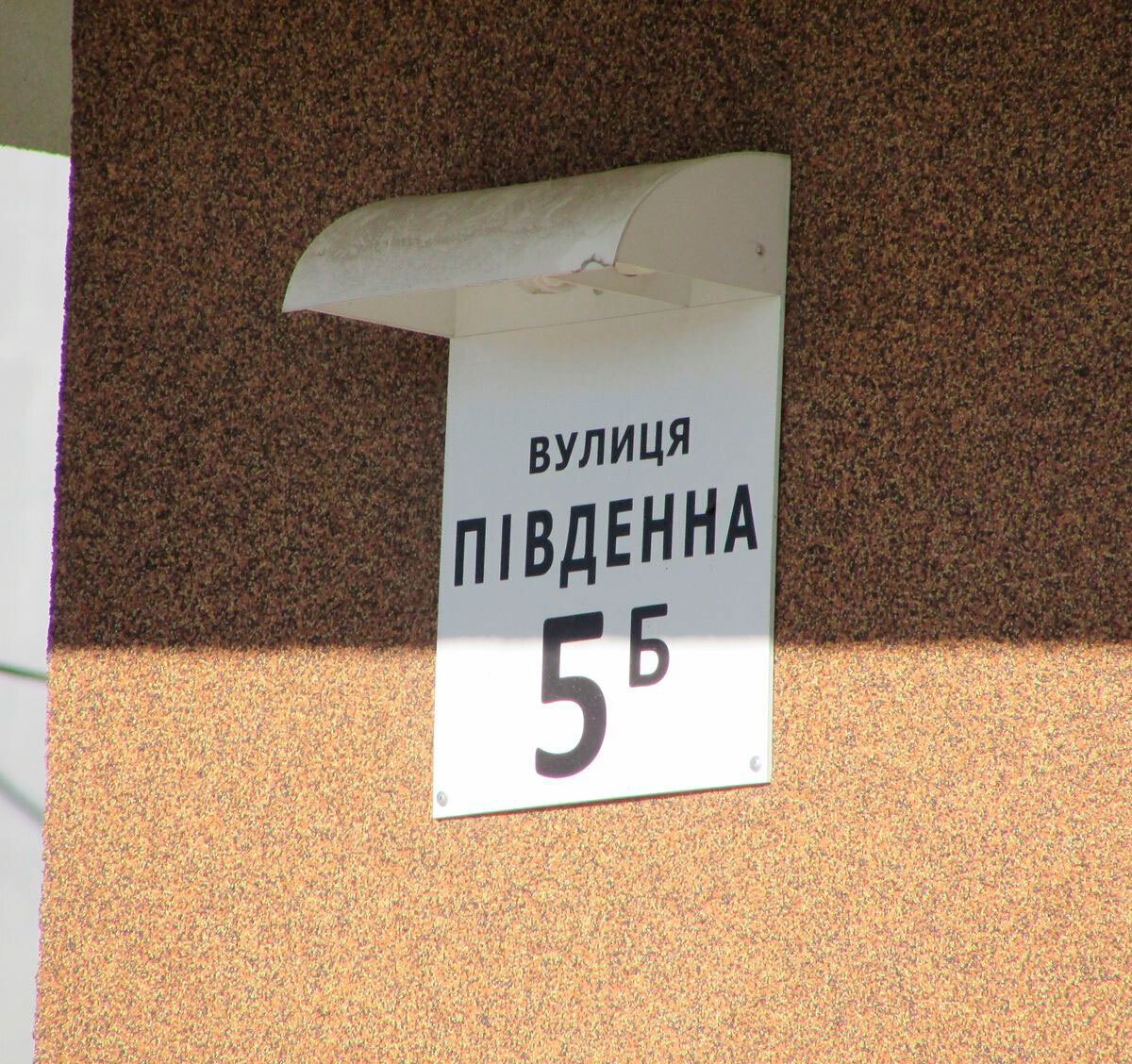 ����� ����