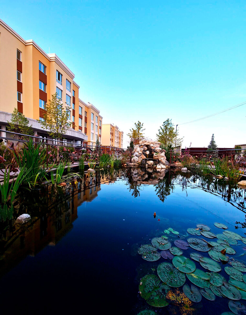 ��������� ������� ����