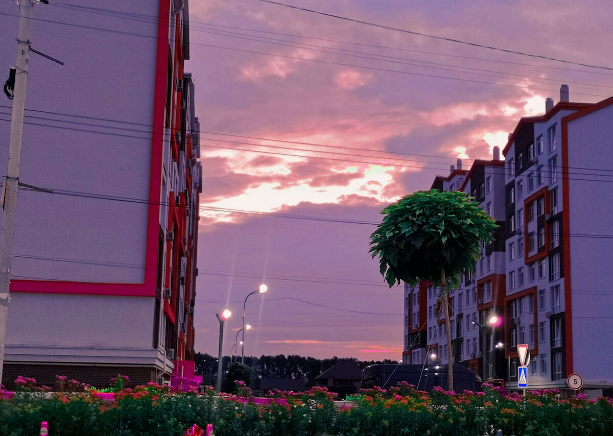 Orange Park ����