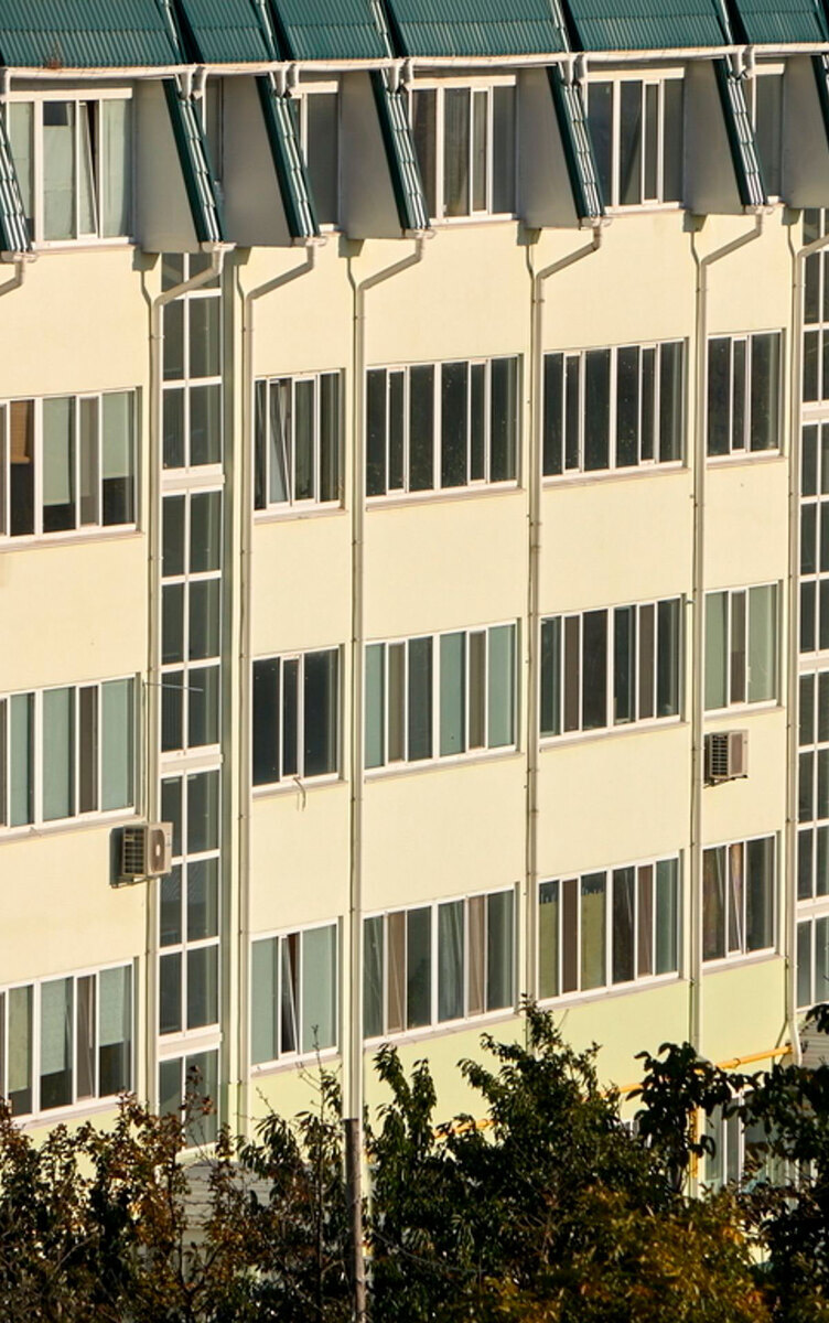 ��� �������� ����