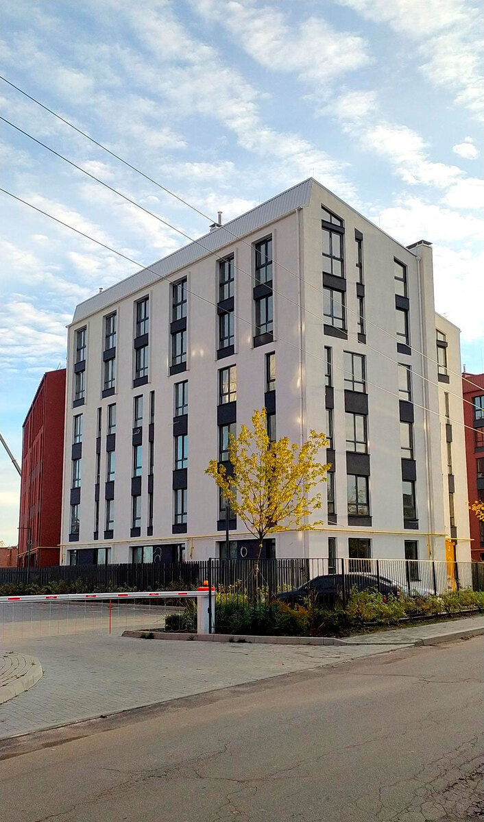 ������ ����