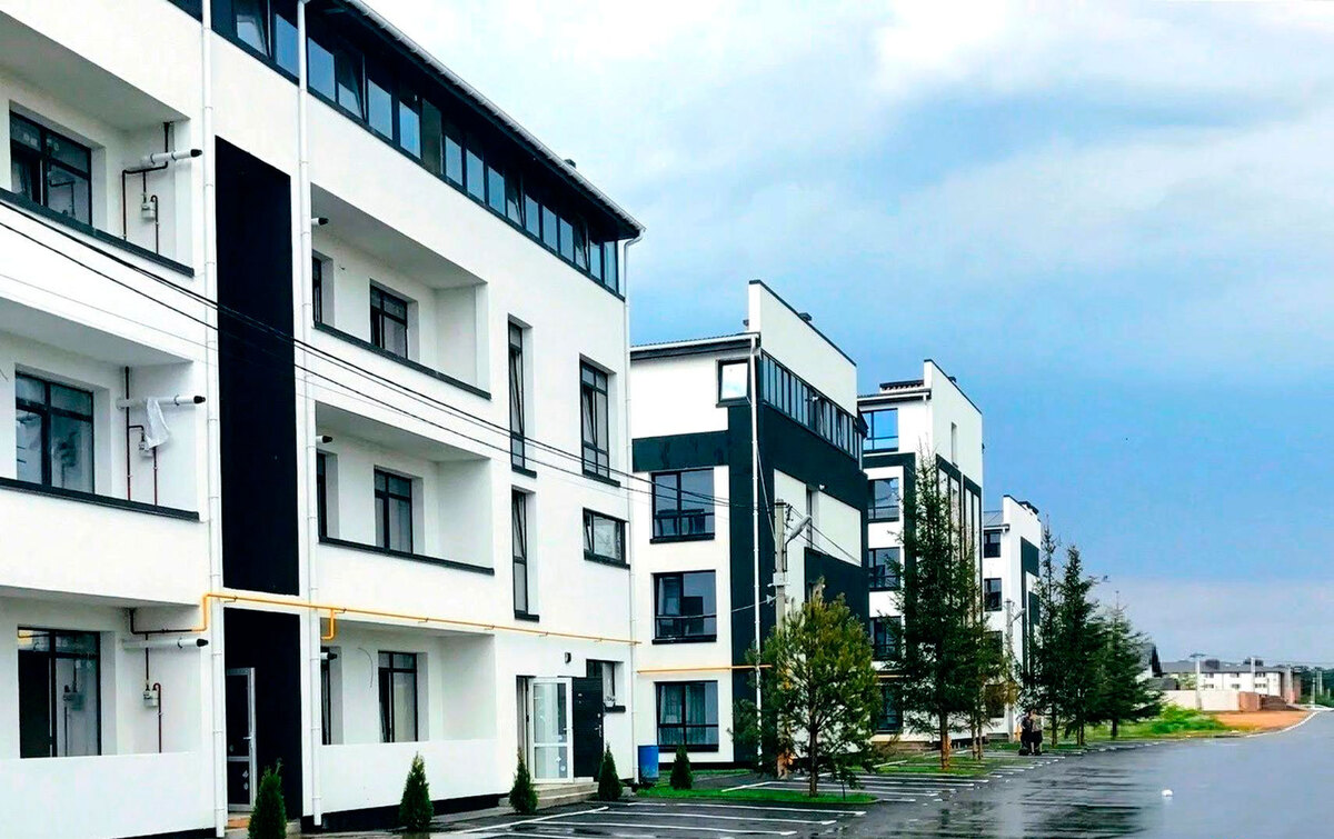 ���� ����� ����