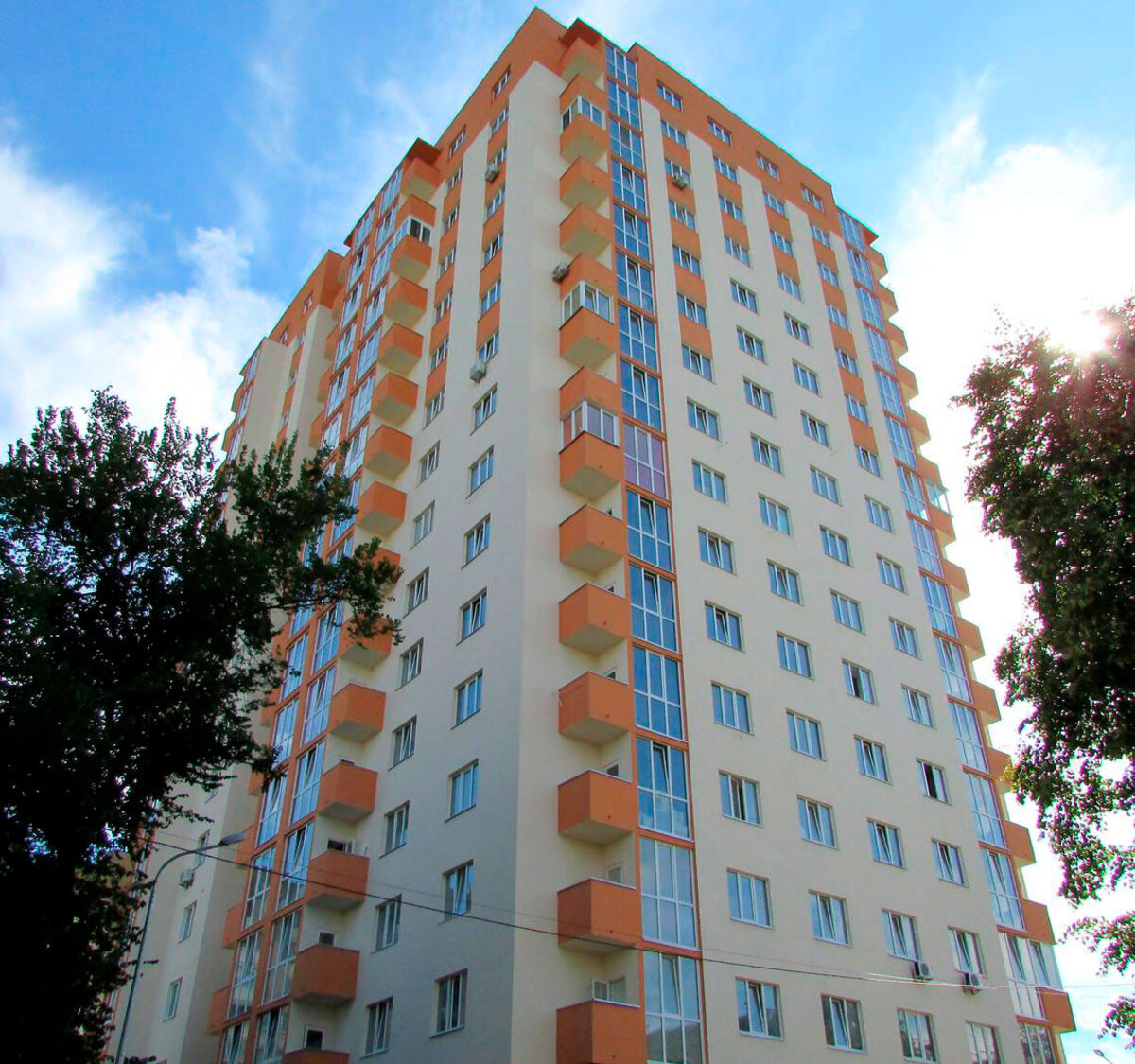 ̳������ ����