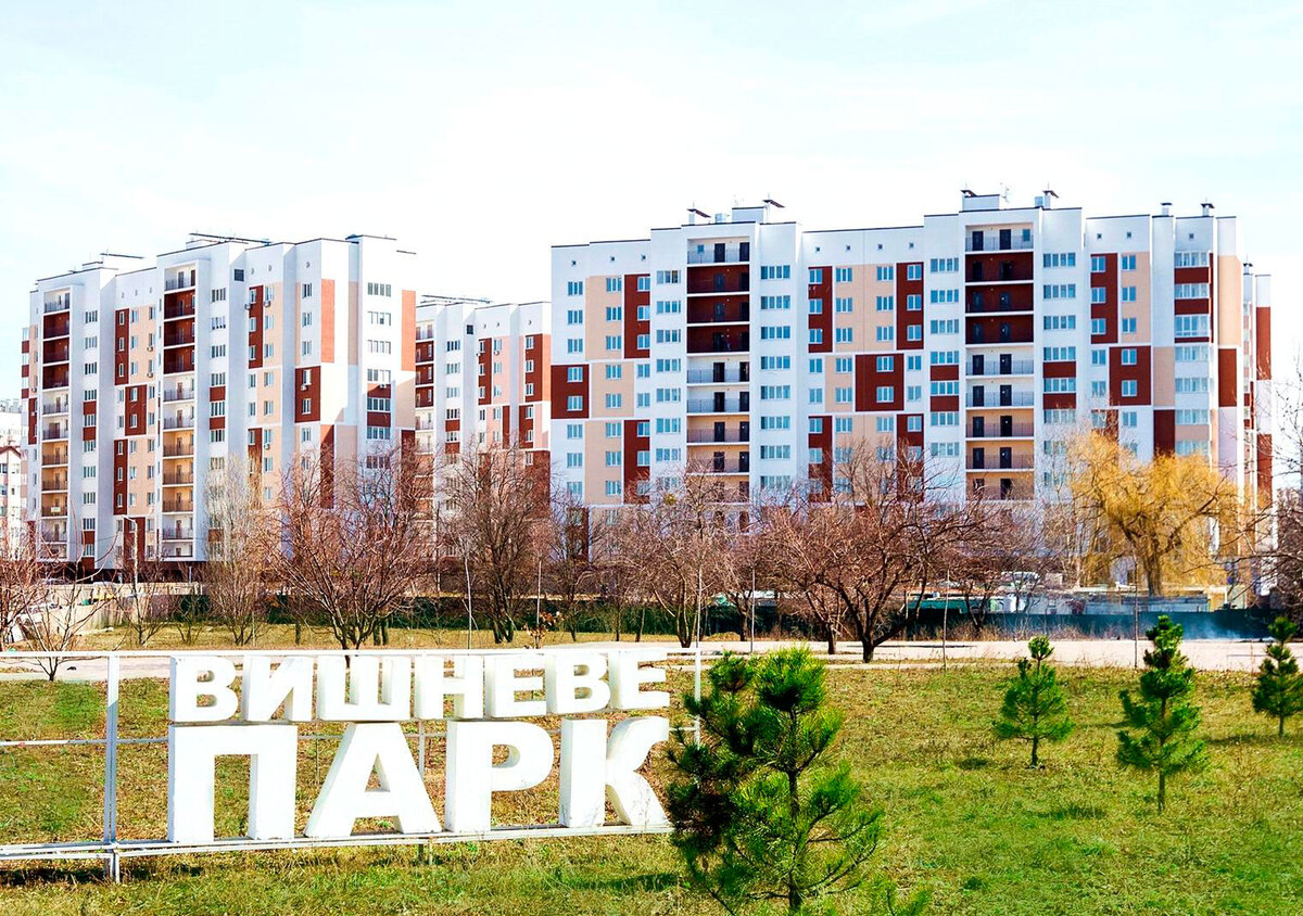 ���� ������ ����