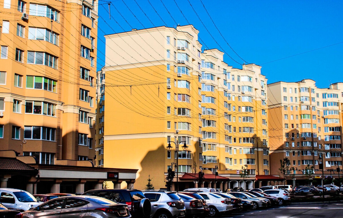 ����� ѳ� ����