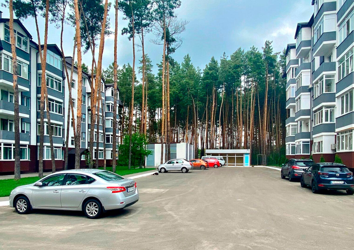 ���� ����