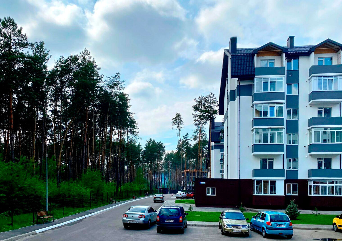 ���� ����