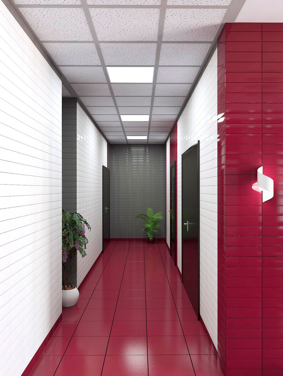 �����-2 ����