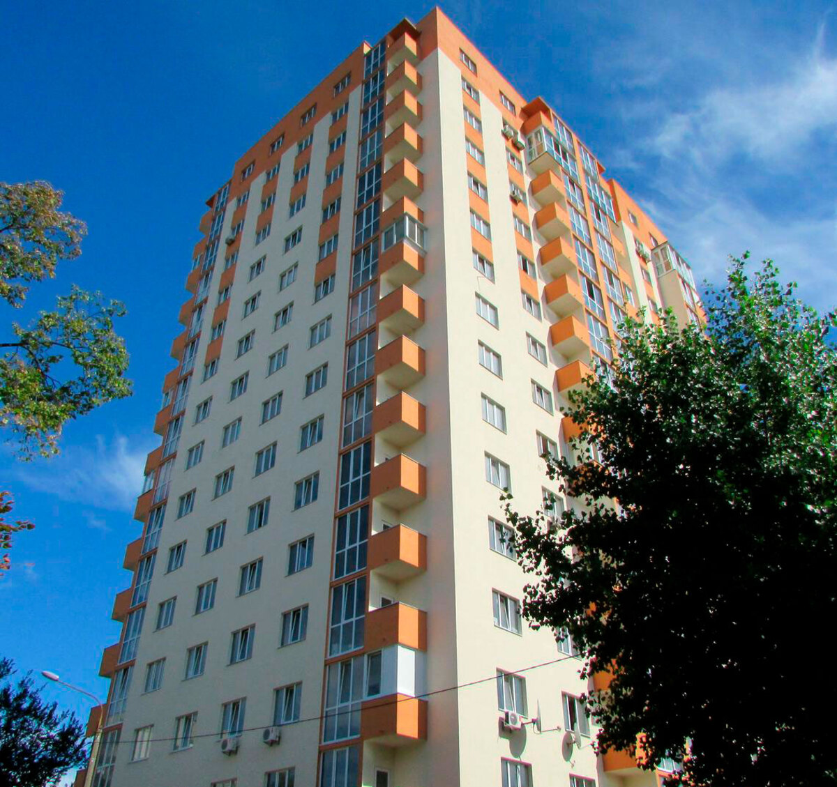 ̳������ ����