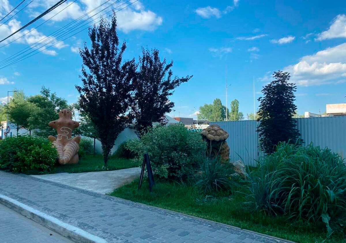 ���� �����-����� ����