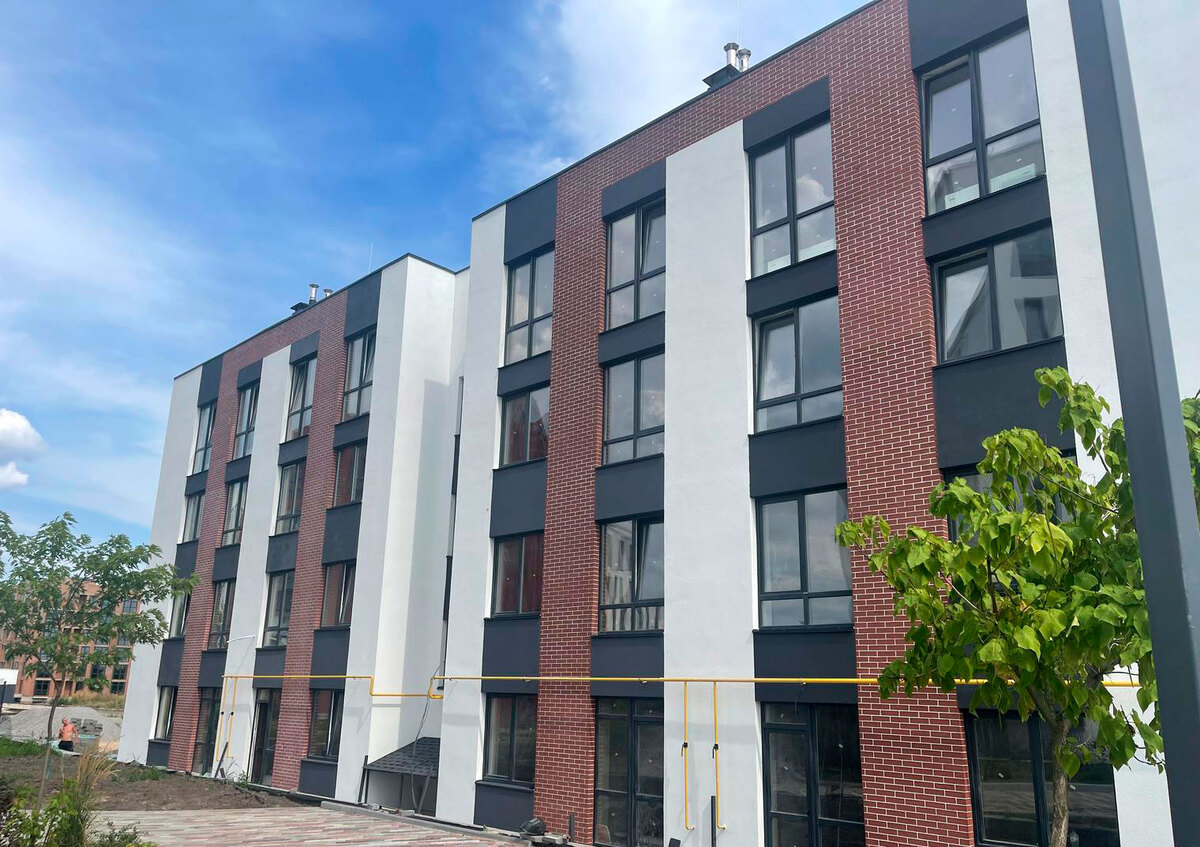 ������ ����