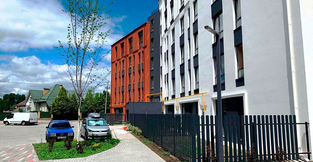 ������ ����