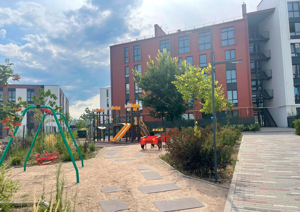 ������ ����