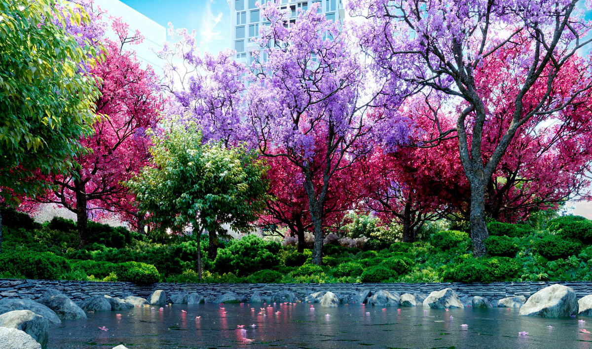 Creator City 