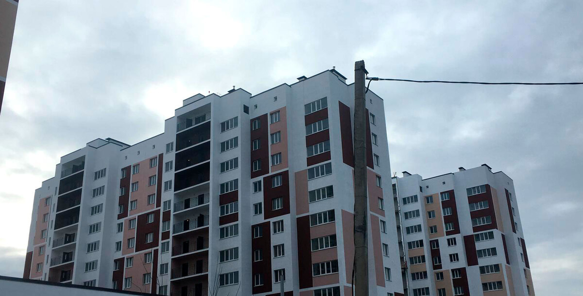 ���� ������ ����