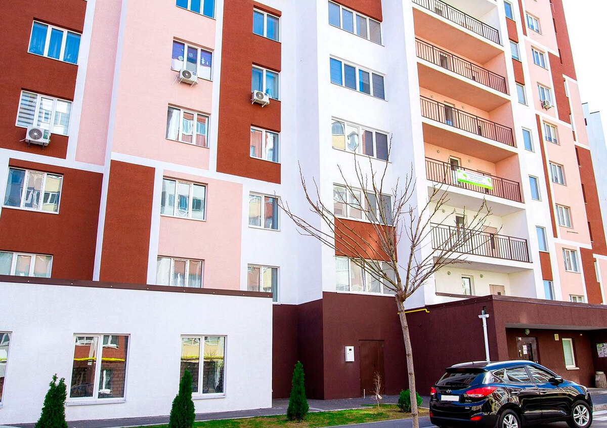 ���� ������ ����