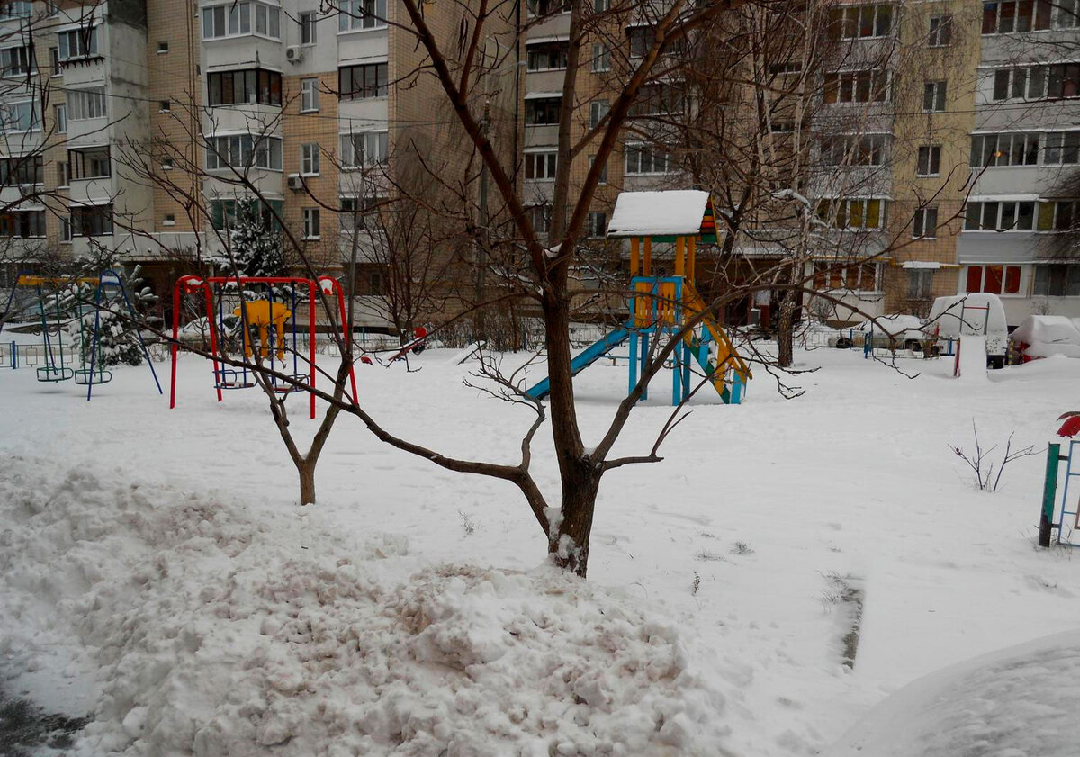 ̳������ ����