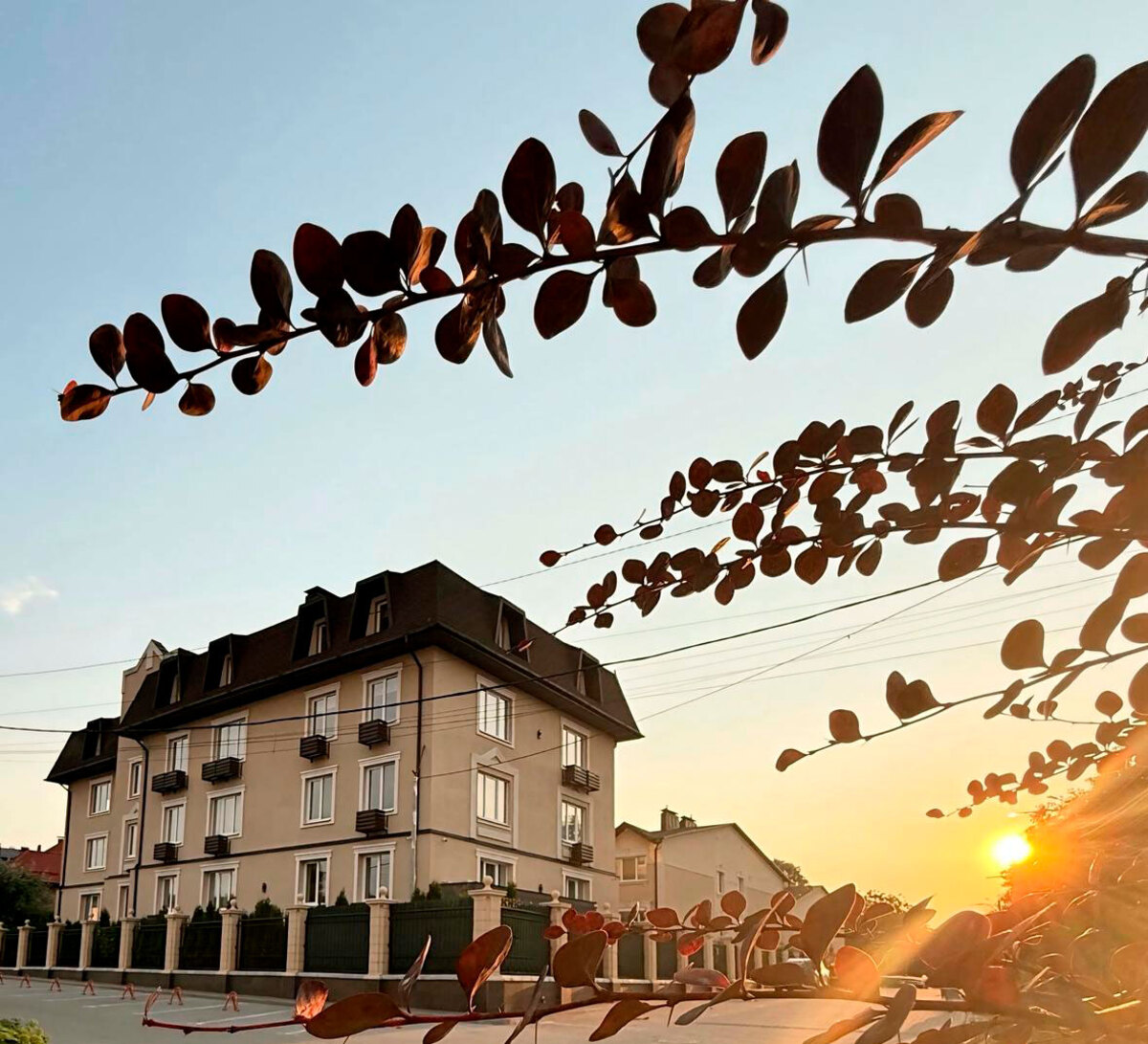 Cappuc�ino House ����