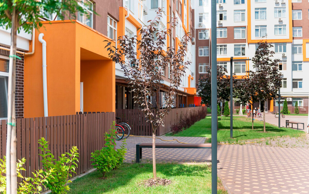 Orange Park ����