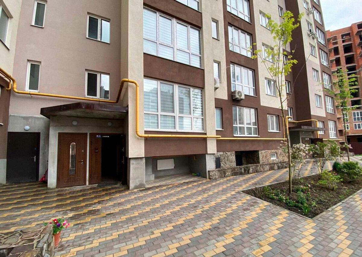 ���� �����-����� ����