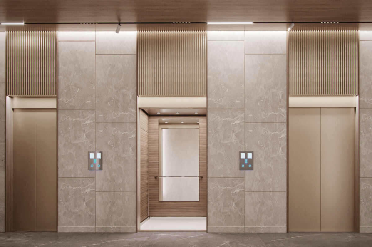 ����� �������� ����