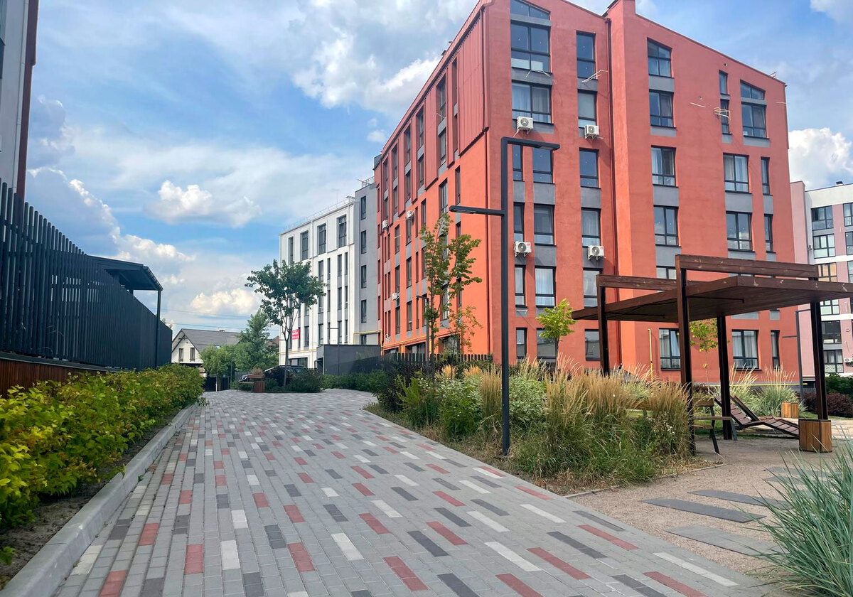 ������ ����