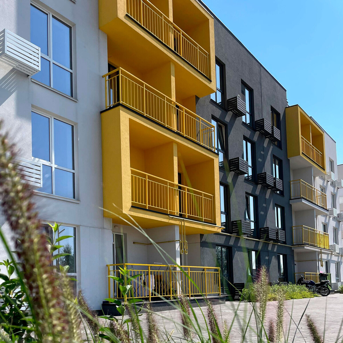 Art Misto ����