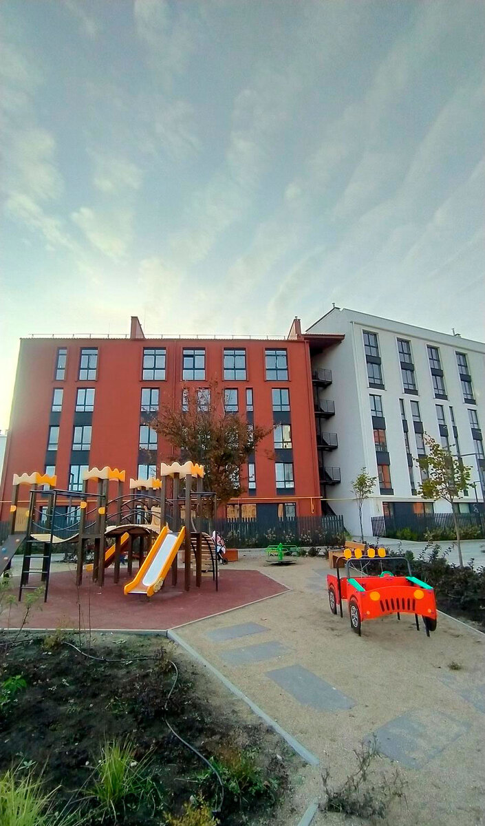 ������ ����