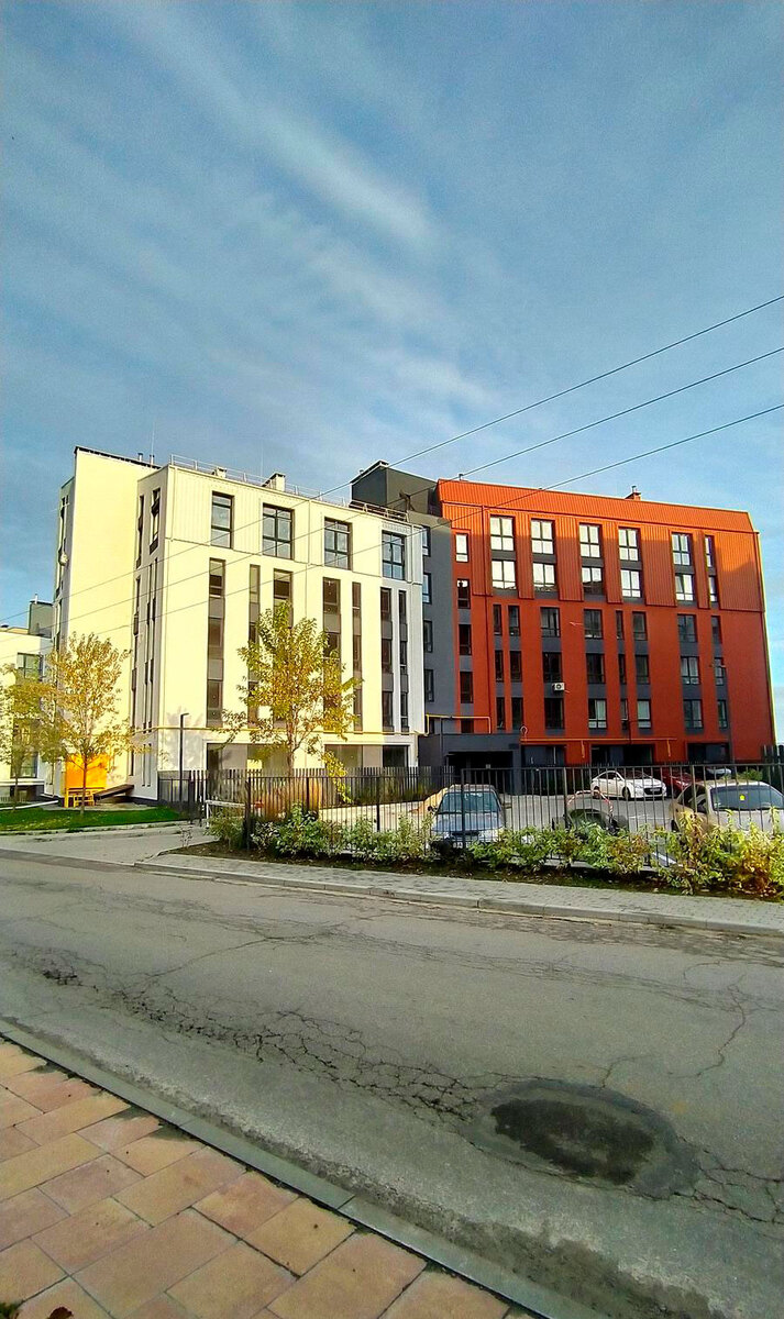 ������ ����