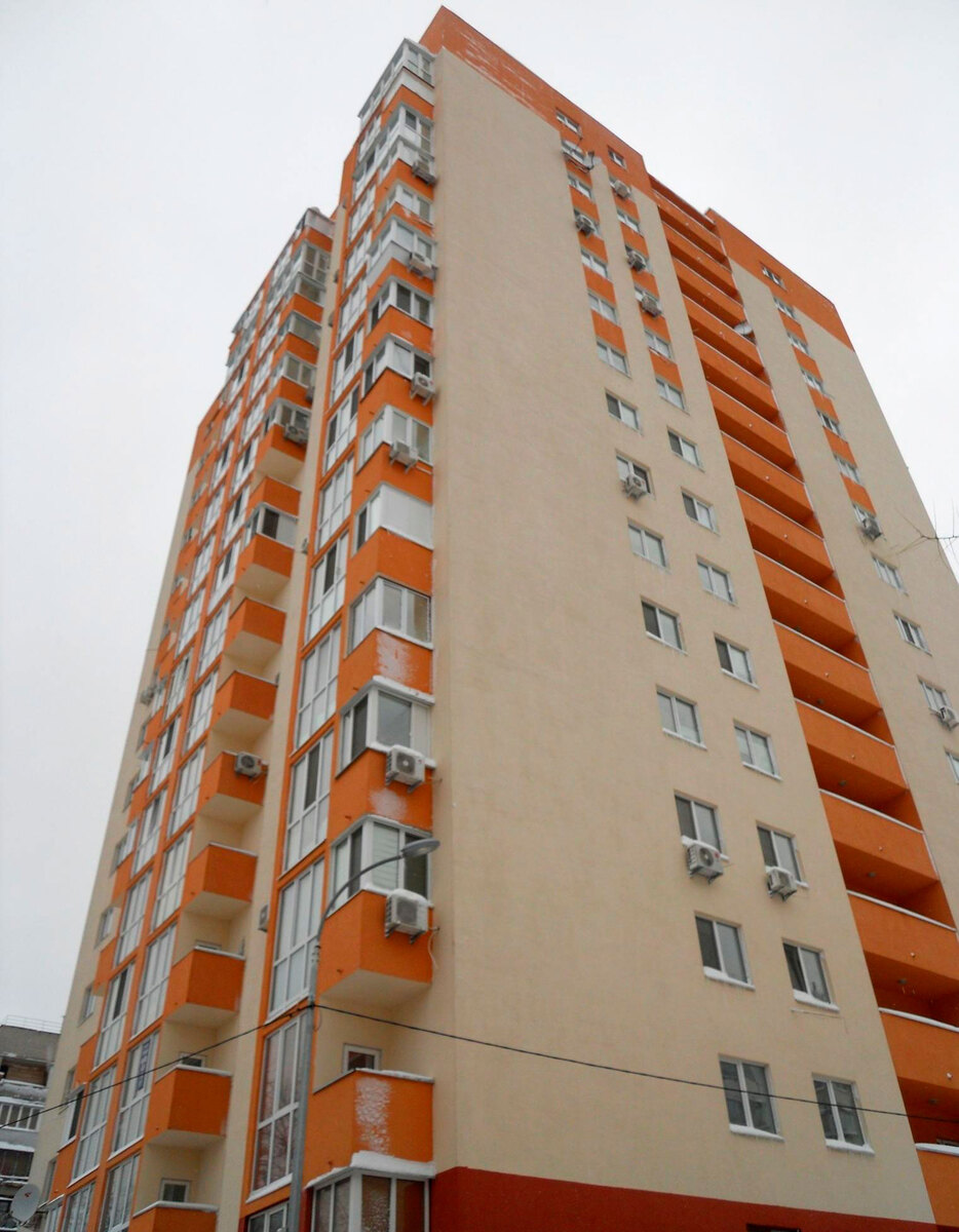 ̳������ ����