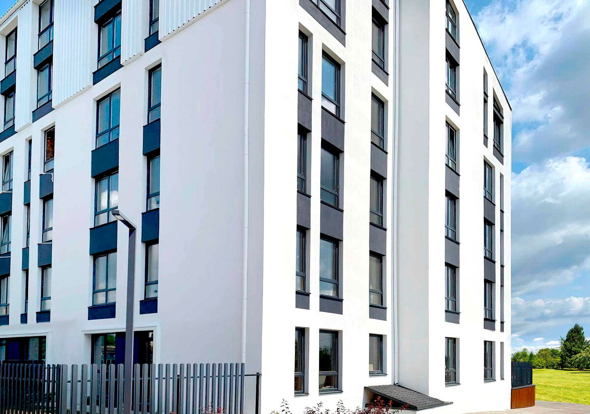 ������ ����