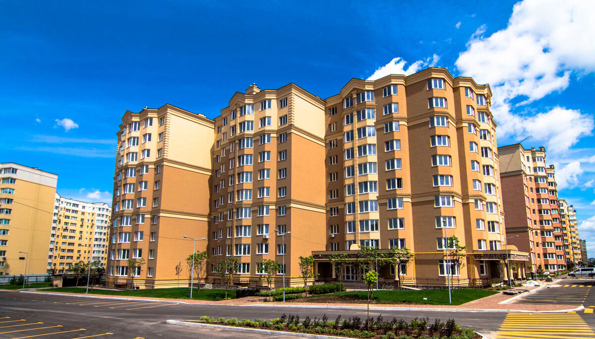 ����� ѳ� ����