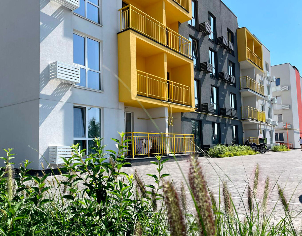 Art Misto ����