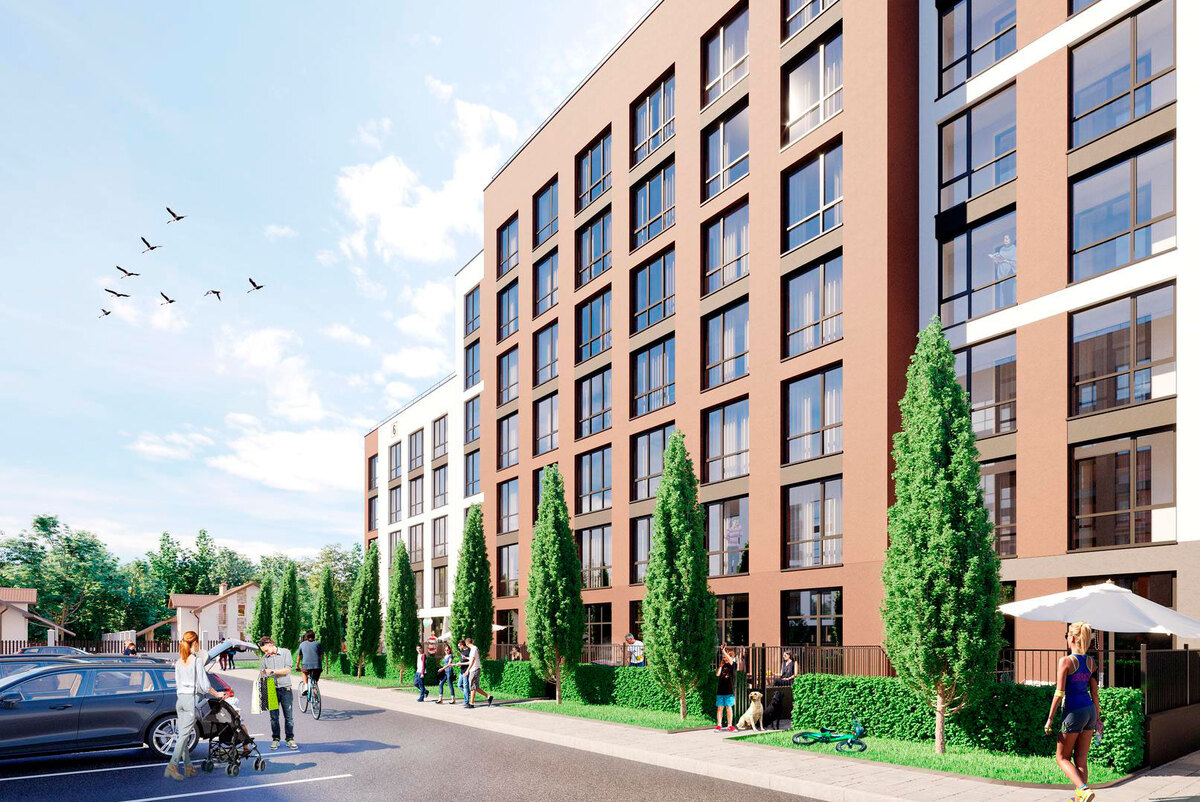 ������ ����