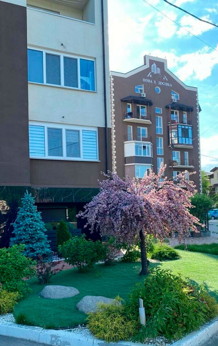 ���� �����-����� ����